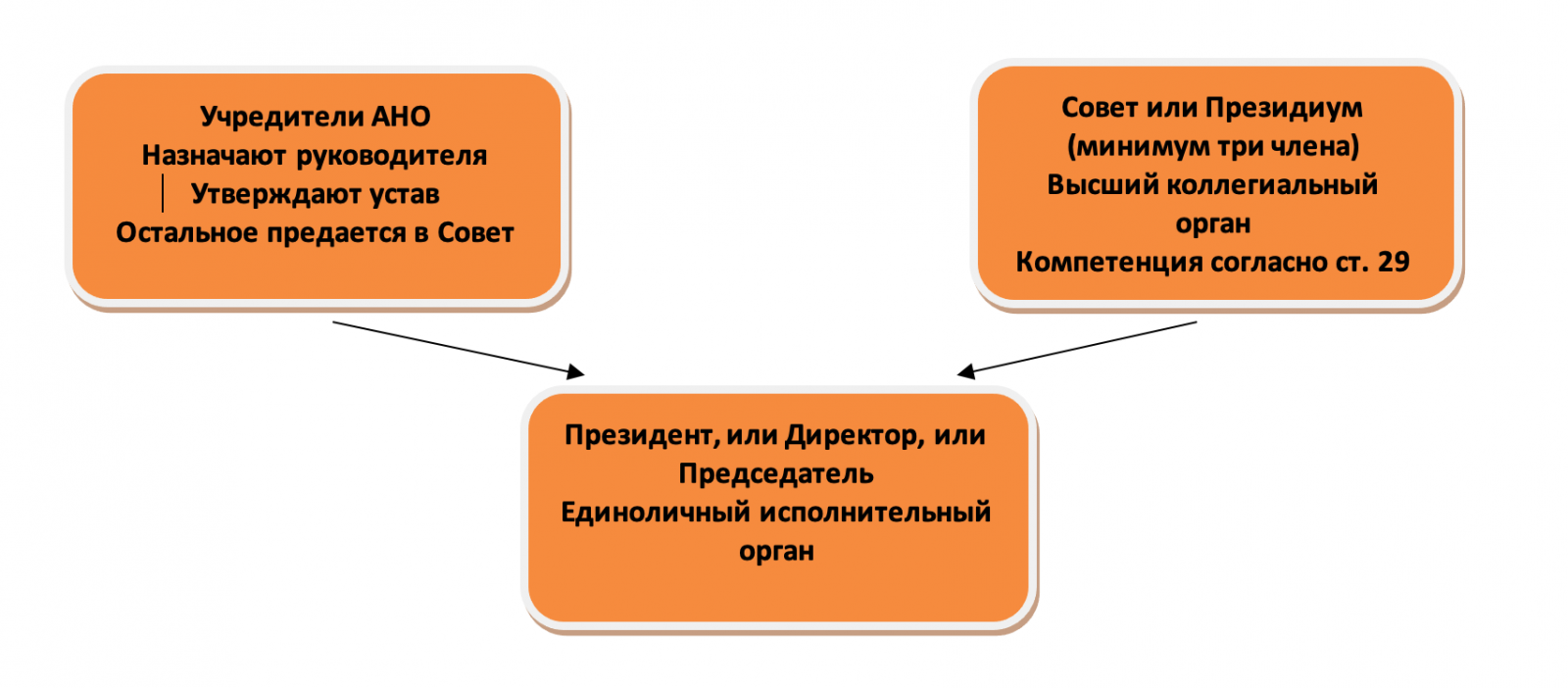 структура управления ано с двумя учредителями